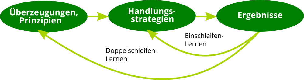 Doppelschleifen-Lernen nach Schön, eigene Darstellung